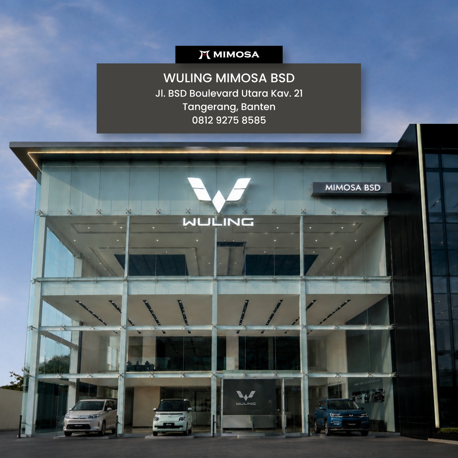 Mimosa Wuling BSD