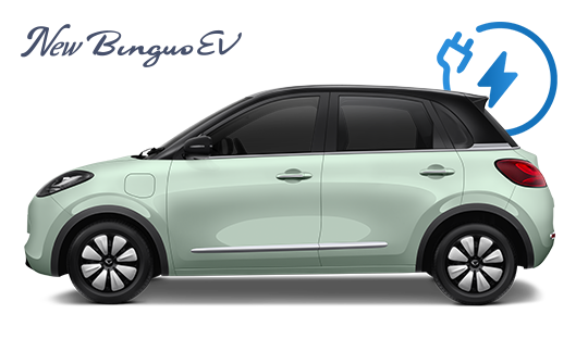 New BinguoEV