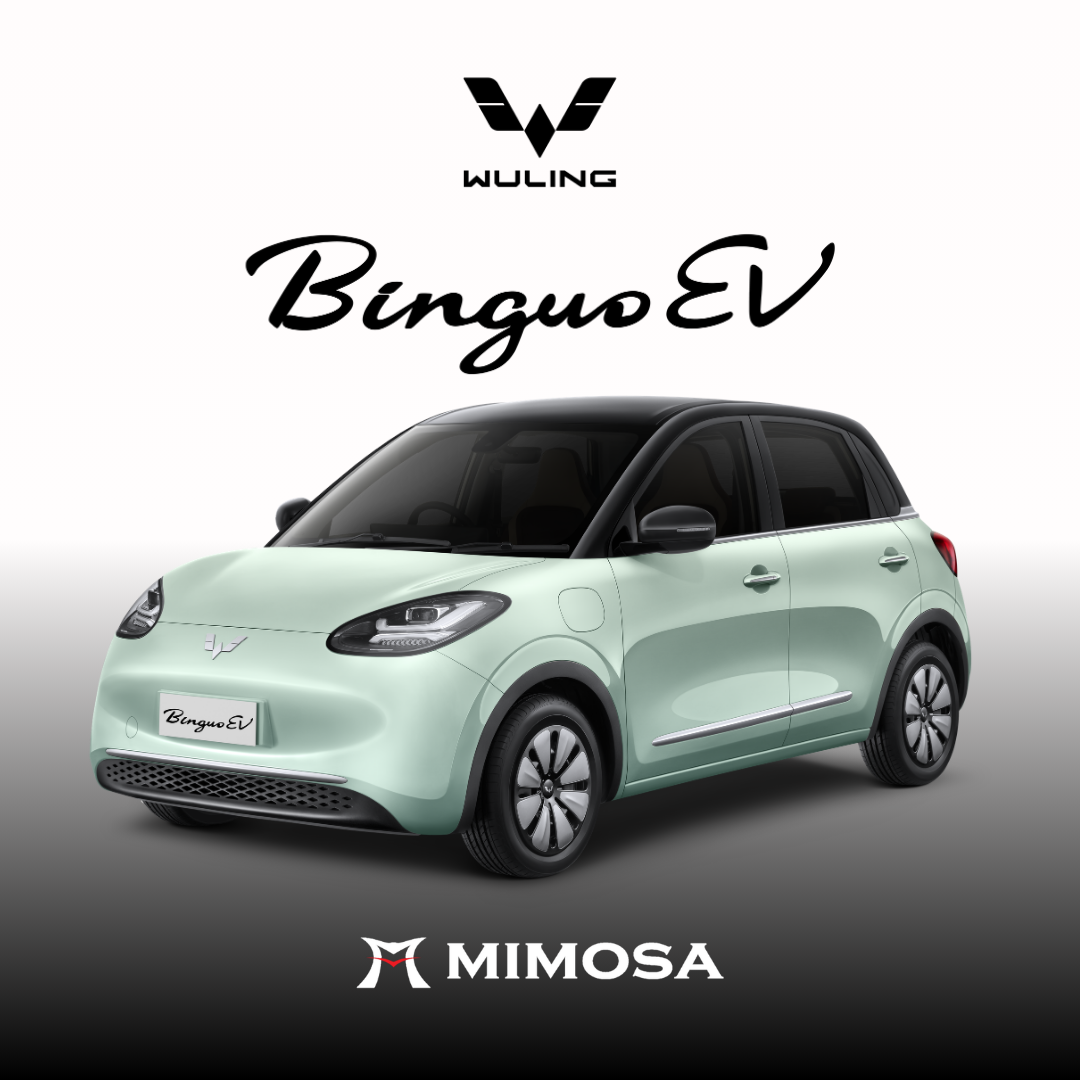 New BinguoEV